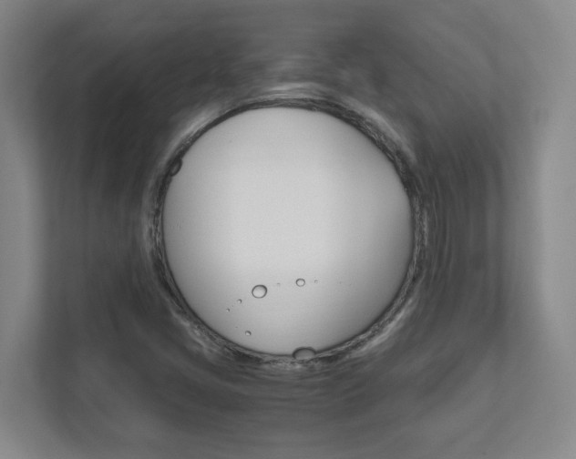 X0000111851405200907231050