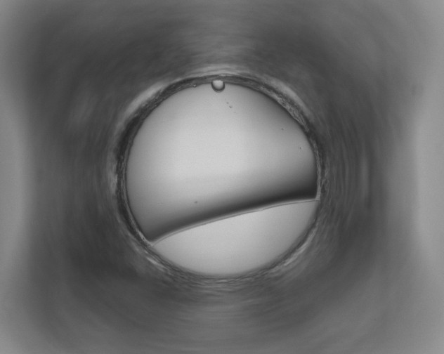 X0000111851406200907231050