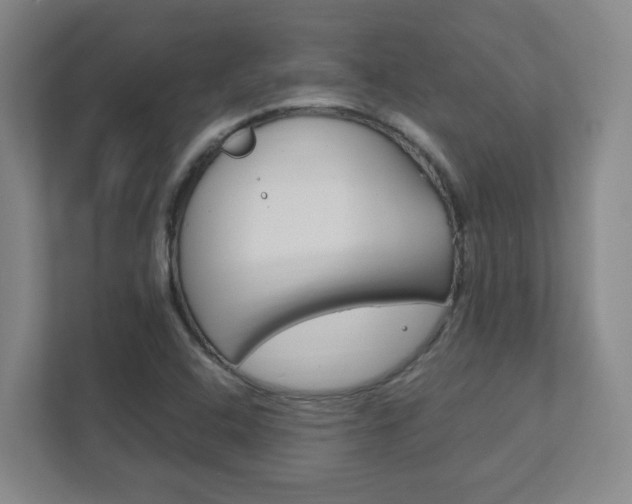 X0000111851408200907231050