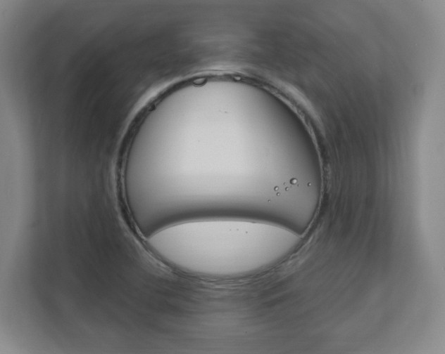 X0000111851412200907231050