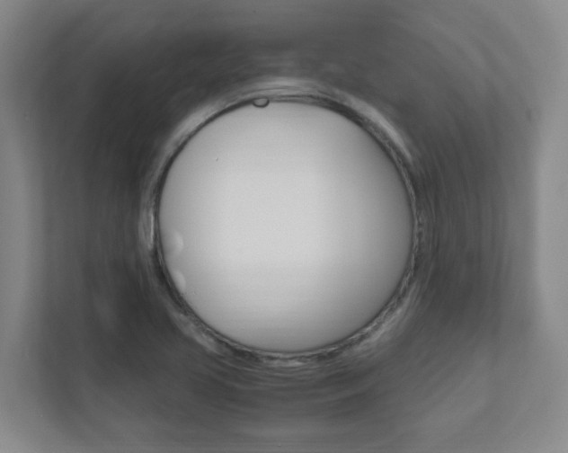 X0000111851413200907231050