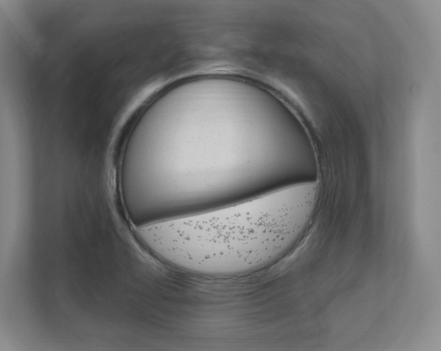 X0000111851414200907231050