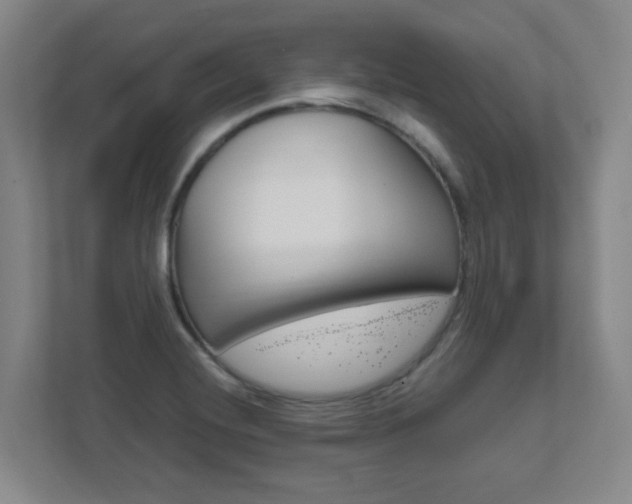 X0000111851420200907231050