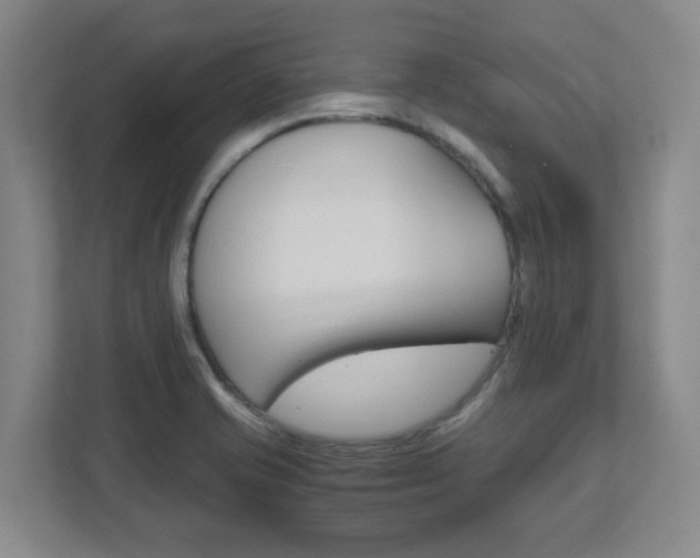 X0000111851421200907231050