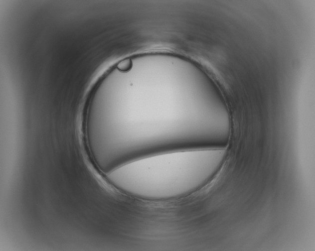 X0000111851422200907231050