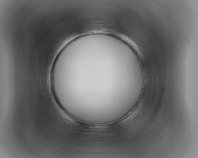X0000111851423200907231050