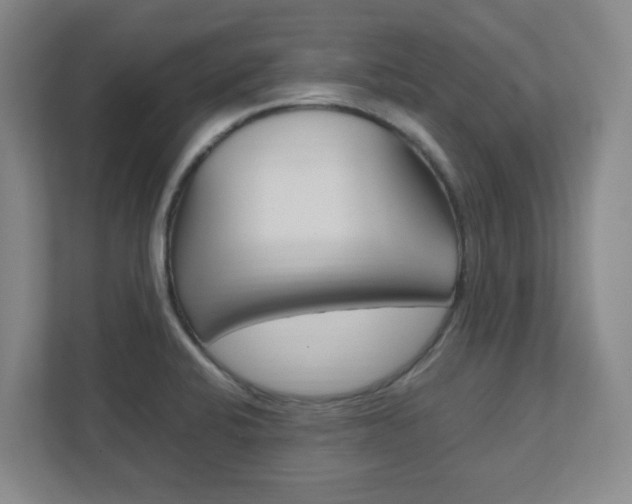 X0000111851424200907231050