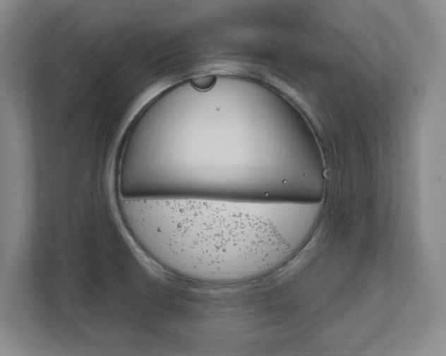 X0000111851426200907231050