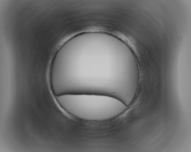 X0000111851429200907231050