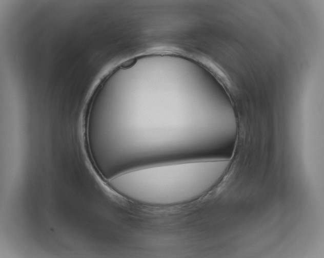 X0000111851430200907231050
