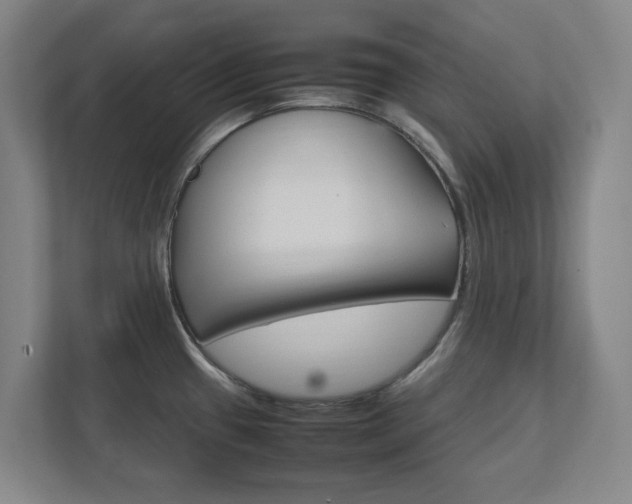 X0000111851433200907231050