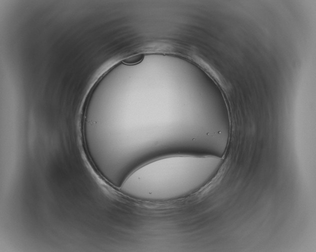 X0000111851434200907231050