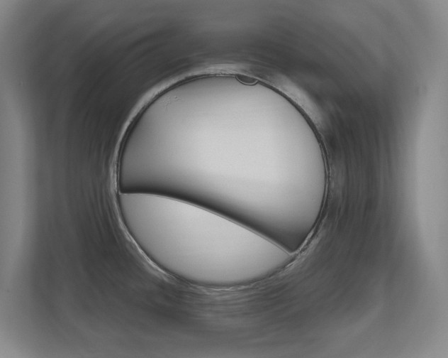 X0000111851436200907231050