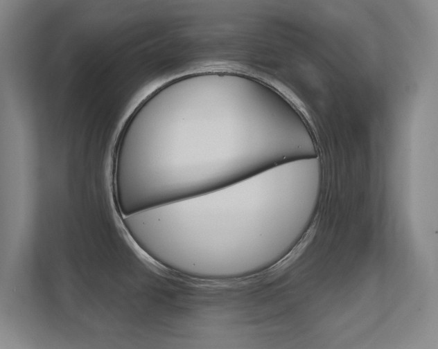 X0000111851438200907231050