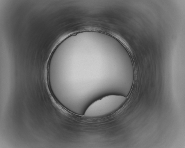 X0000111851439200907231050