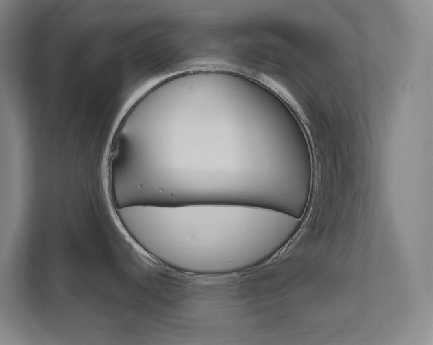 X0000111851440200907231050