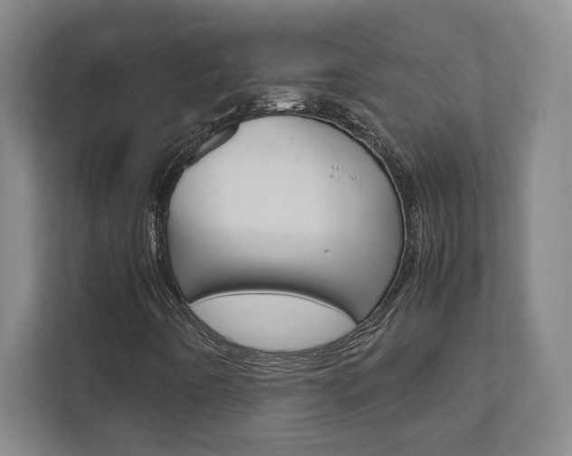 X0000111851442200907231050