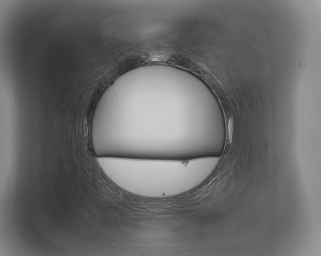 X0000111851443200907231050