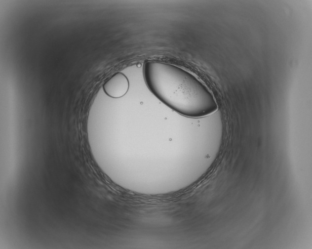 X0000111851445200907231050