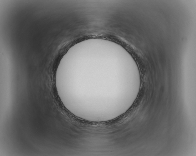 X0000111851447200907231050
