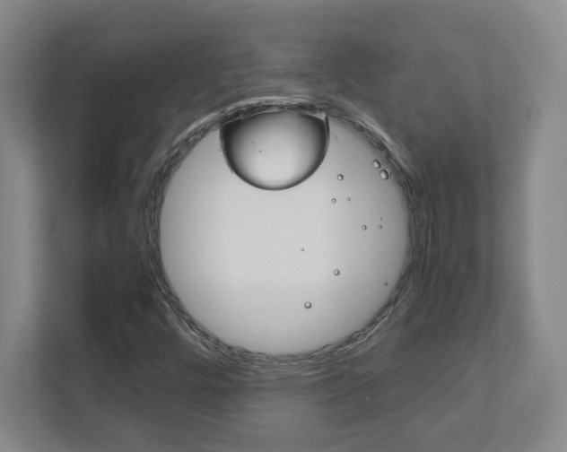 X0000111851448200907231050