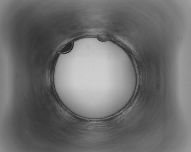 X0000111851451200907231050