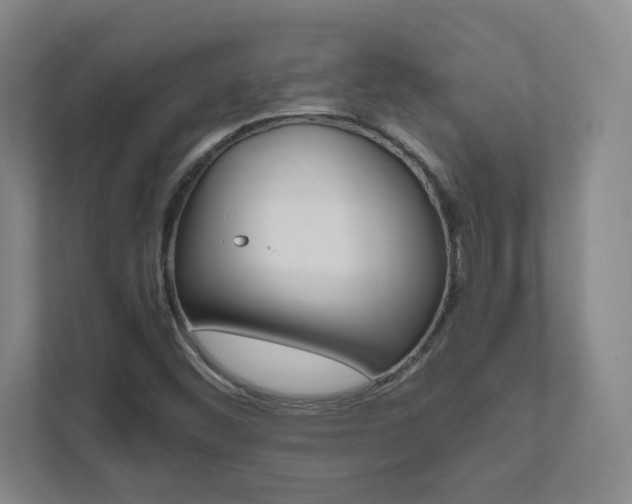 X0000111851452200907231050