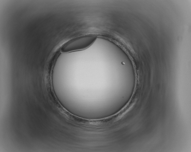 X0000111851453200907231050