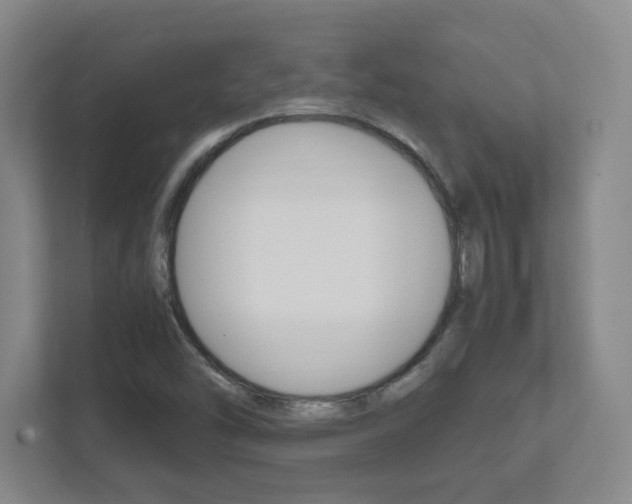 X0000111851454200907231050