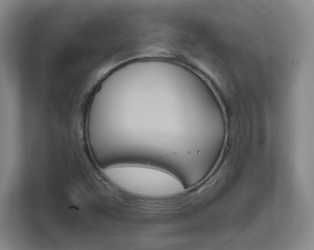 X0000111851455200907231050