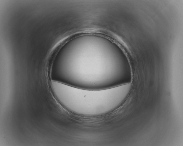X0000111851456200907231050