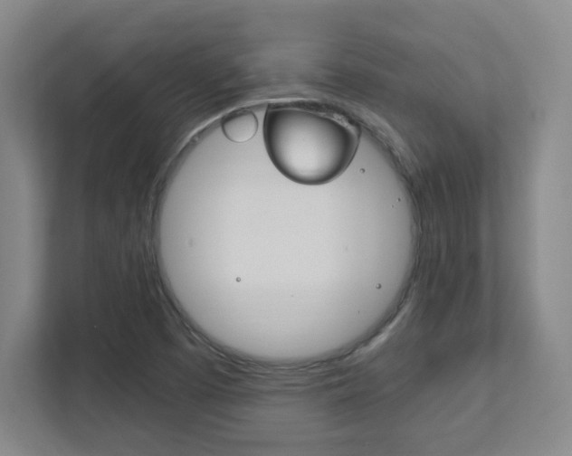 X0000111851457200907231050