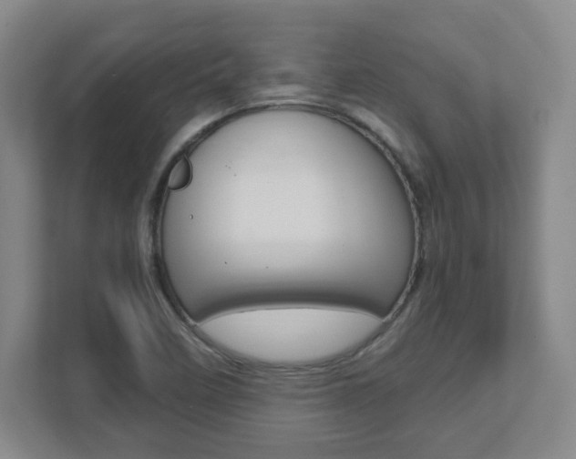 X0000111851458200907231050