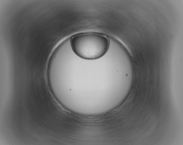 X0000111851460200907231050