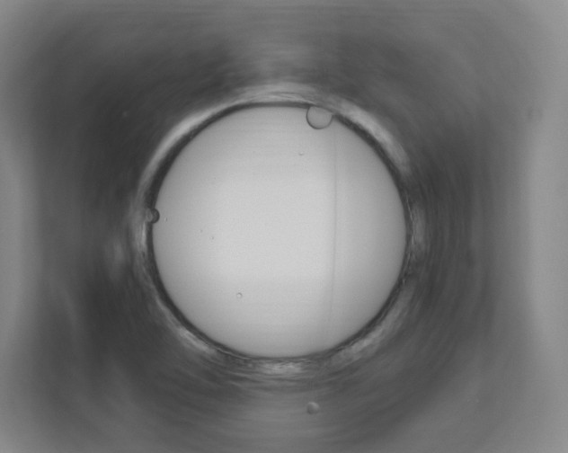 X0000111851462200907231050