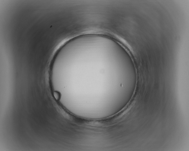 X0000111851463200907231050