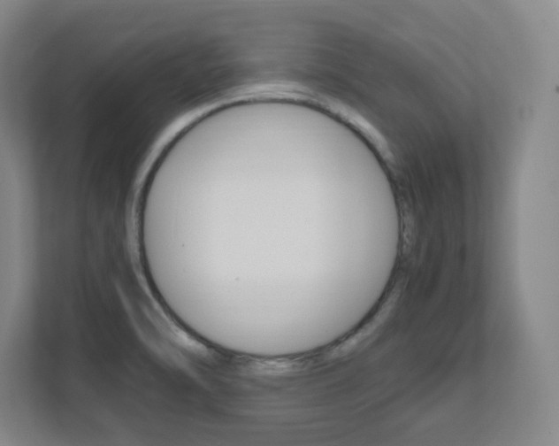 X0000111851470200907231049