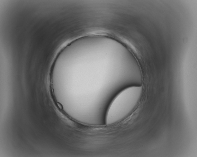 X0000111851471200907231049