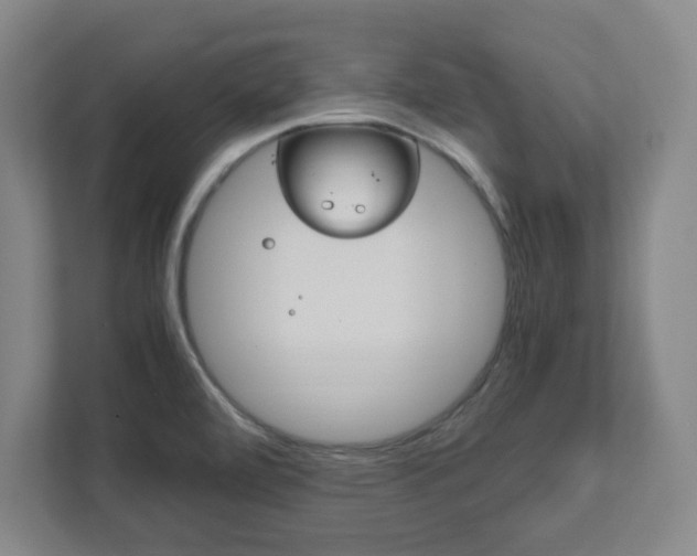 X0000111851472200907231049