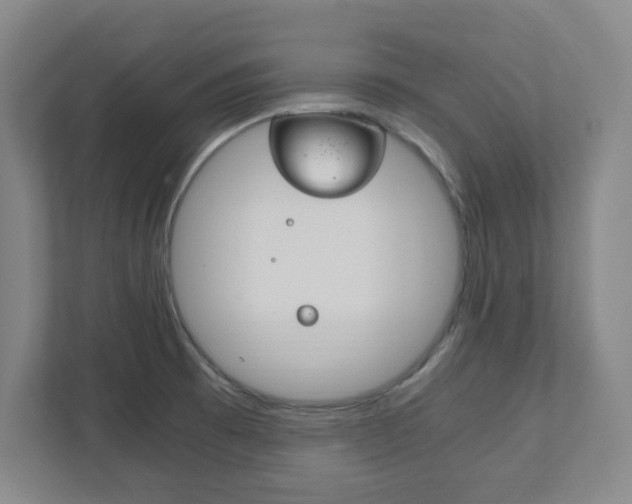 X0000111851473200907231049