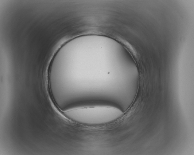 X0000111851479200907231049