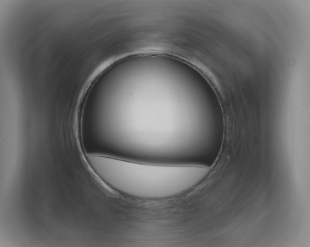 X0000111851480200907231049
