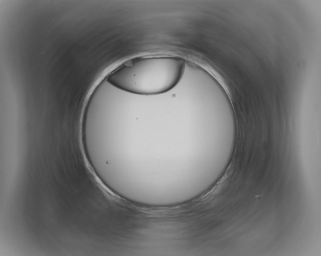 X0000111851485200907231049