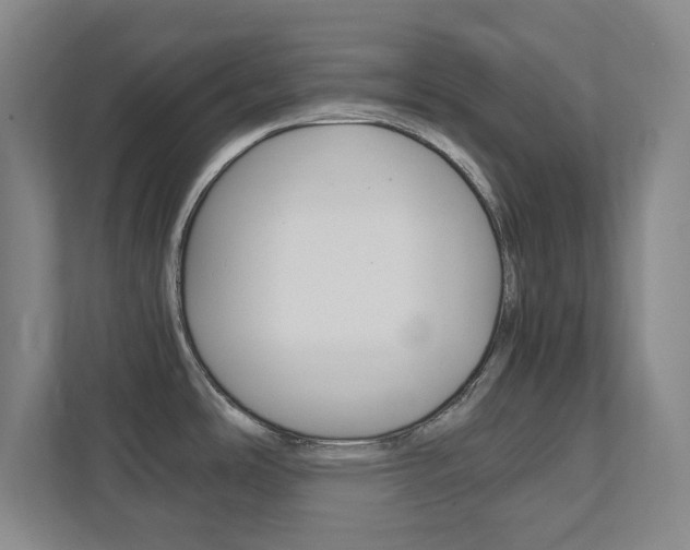 X0000111851486200907231049