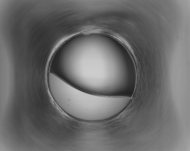 X0000111851488200907231049