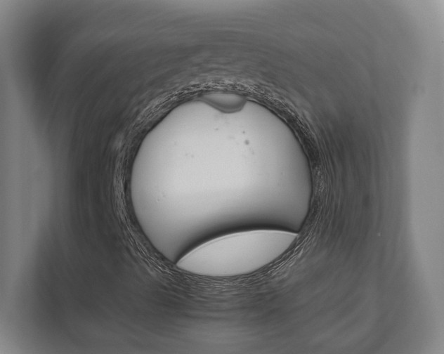 X0000111851489200907231049