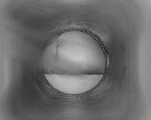 X0000111851492200907231049