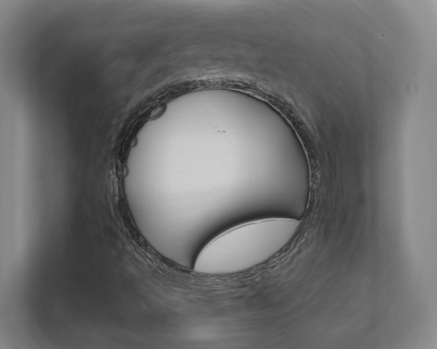 X0000111851493200907231049