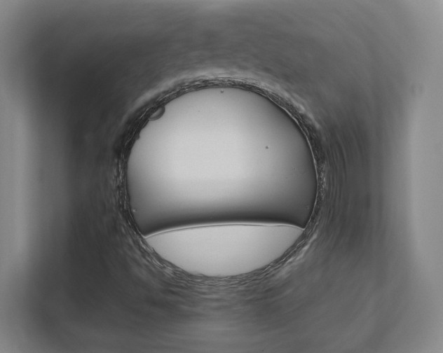 X0000111851494200907231049