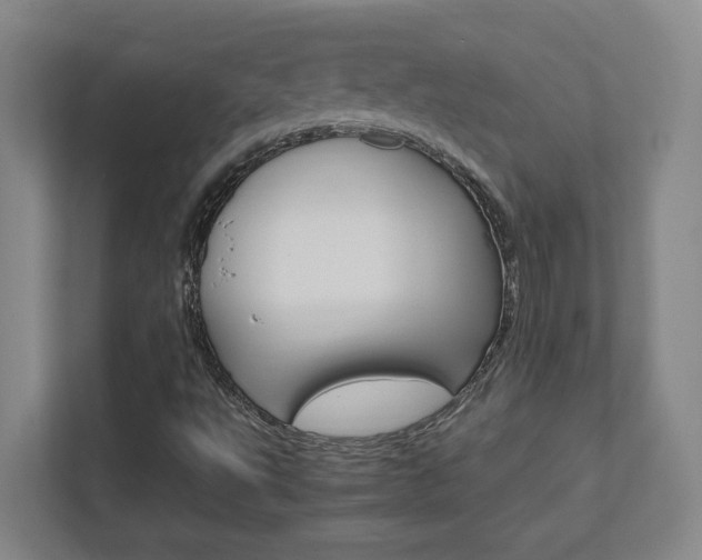 X0000111851495200907231049